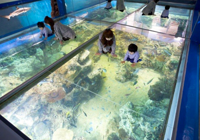 越前松島水族館